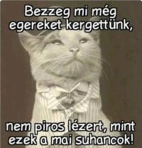 Screenshot_20260127_213318_Samsung Internet.jpg