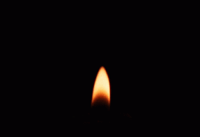 2a4a1f73ceccb5045cda3e76067ce51594099aa3d3c3bc851f27032b82d60b31.gif
