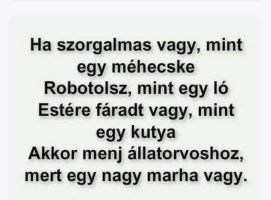 Screenshot_20260201_153337_Samsung Internet.jpg