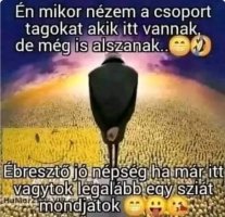 Screenshot_20260213_194339_Samsung Internet.jpg