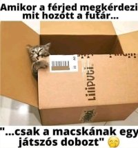 Screenshot_20260227_193326_Samsung Internet.jpg