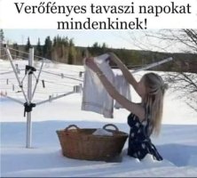 Screenshot_20260315_222624_Samsung Internet.jpg