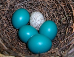 Képernyőkép 2026-03-25 215827.png