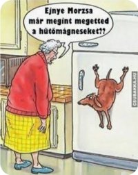 Screenshot_20260403_164050_Samsung Internet.jpg