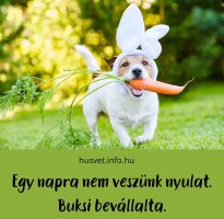 vicces-husveti-kep-buksi_edit_472473777262279.jpg