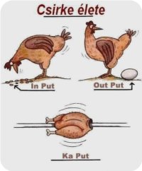 Screenshot_20260407_125005_Samsung Internet.jpg