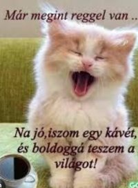 Screenshot_20260418_093004_Samsung Internet.jpg