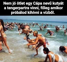 7a81c83ac1b6ce08ea526c0fbdfd7260_edit_595223855398757.png