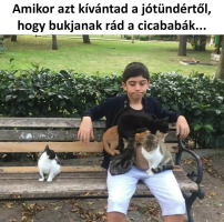 6b8a9023d905d8bb81991d64a829cdb6_edit_826378723345778.png