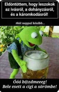 Screenshot_20260425_140103_Samsung Internet.jpg