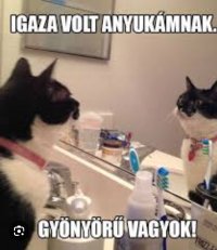 Screenshot_20260427_140339_Samsung Internet.jpg