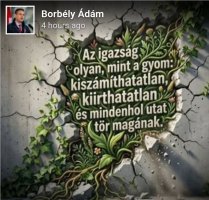 Screenshot_20260428_202308_Samsung Internet.jpg