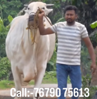 Képernyőkép 2026-04-30 124633.png