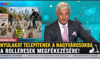 1779254885636.png