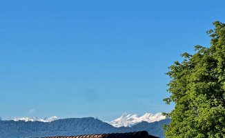 IMG_8052.jpg