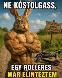 1383683-d926f83c893590e9eb2e913741b0e055_edit_14509471129556.jpg