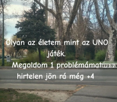 397b31914d6b4c5331f581a813d2ca83_edit_48979422272213.png