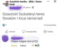 VK1777408201_edit_18050589587870.jpg