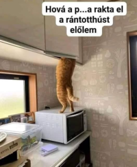 1779949648724.png