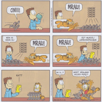 1780031372849.png