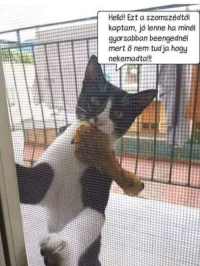 1780589922572.png