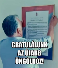 1781248040655.png