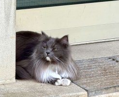 IMG_7713.jpg