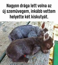 39b856c62c0c5ec82da6aee13cf7b05d.jpg