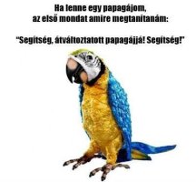 5148904a4049da10a1bc3191d43587e6.jpg
