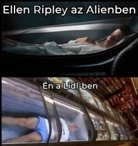 FB_IMG_1782470040003.jpg