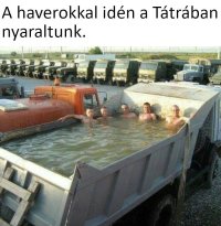 magyarmemek_57f2d2ea-788a-40db-64a7-08dd19d1c19a.jpg