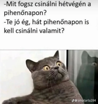 1783091400814.png
