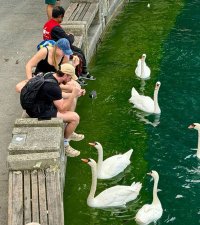 c022e6a51c965d1c0222468a30738dda4cb106c10f4c5e62522fecd1d1c6b09b.jpg