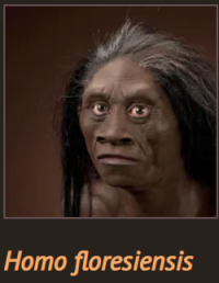 1784039467187.png