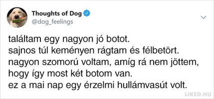 20-jopofa-kutyagondolat-ami-garantaltan-minden-gazdinak-ismeros-lesz.jpg