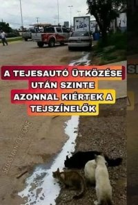 VK1784318365_edit_191784329177506.jpg