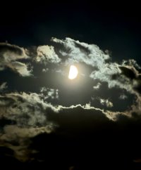 IMG_8772.jpg
