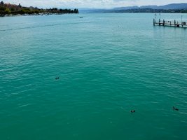 IMG_8785.jpg