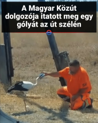 1785917950711.png