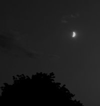 IMG_9072-3.jpg