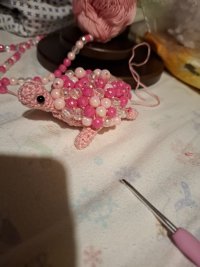 20260829_210049.jpg