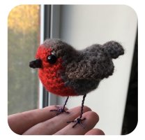 Robin.jpg