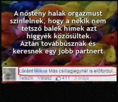 3061.jpg