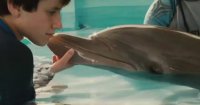 dolphin-tale-delfines-kaland-570x300.jpg