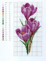 OUTRAS FLORES (20).jpg