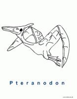 pteranodon_malen.gif