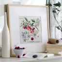 etude-aux-cerises.jpg