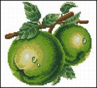 DOME-Green Apple.jpg