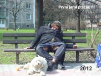 Posel jara.jpg