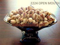 2224  open mouth copy.jpg